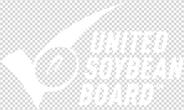 Usb Logo Png