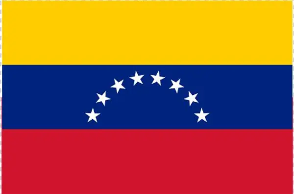Venezuelan Flag Medium