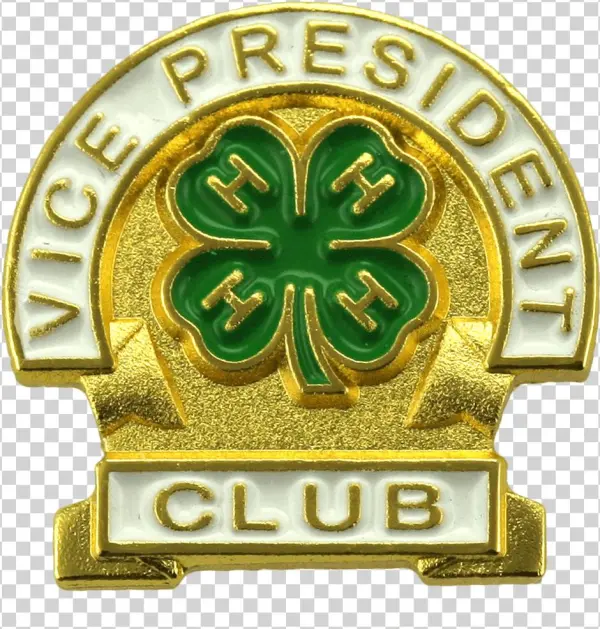 Club Vice President Pin