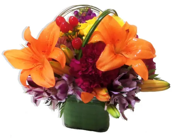 Fall Flowers Png