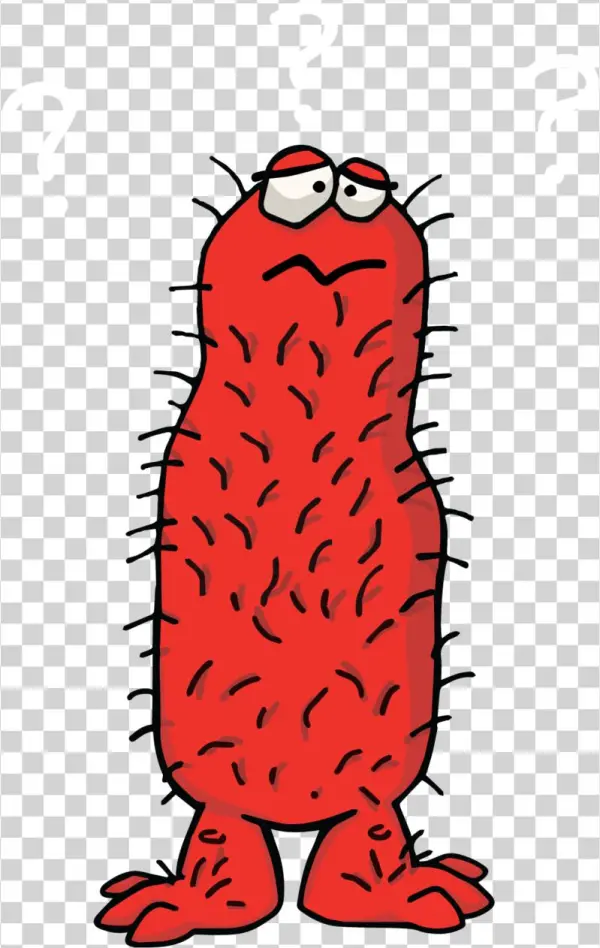 Hairy Confusedred - Illustration