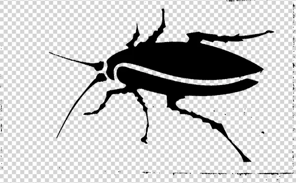 Las Famosas Cucarachas - Weevil