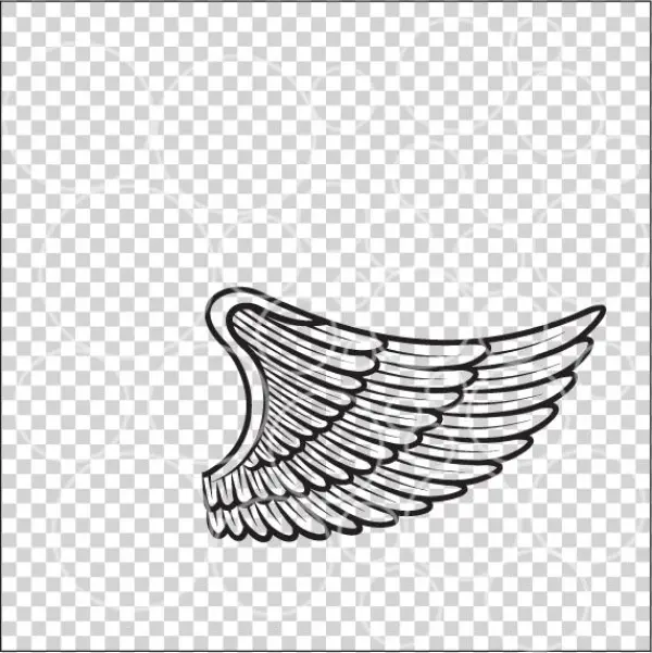 G - Illustration