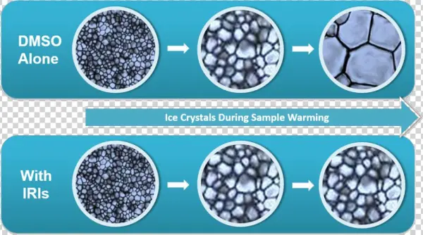 Revolutionizing Cell Cryopreservation - Circle