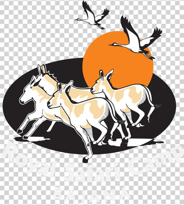 Royal Safari Camp