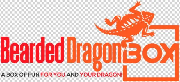 Support@beardeddragonbox - Com - Graphic Design