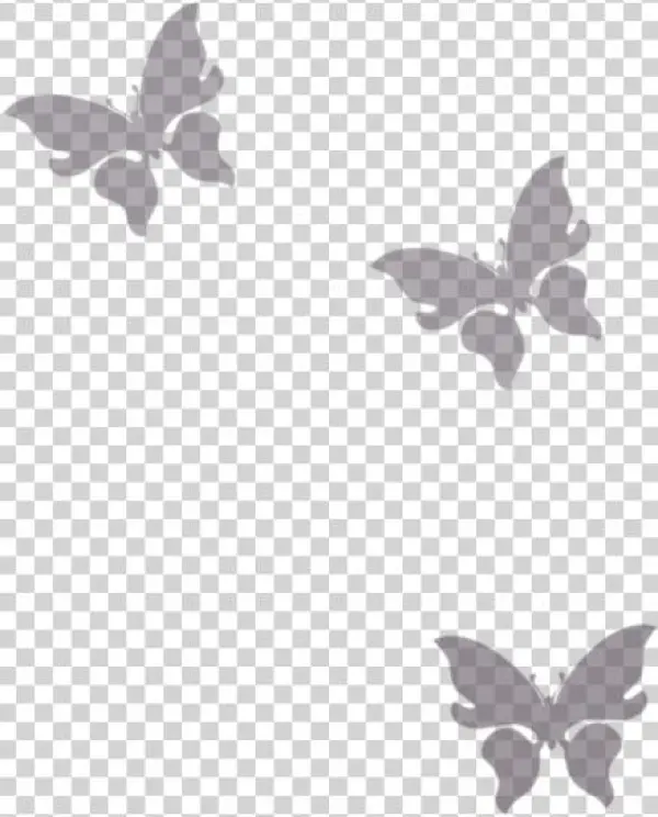 Thumb Image - Butterfly Png White