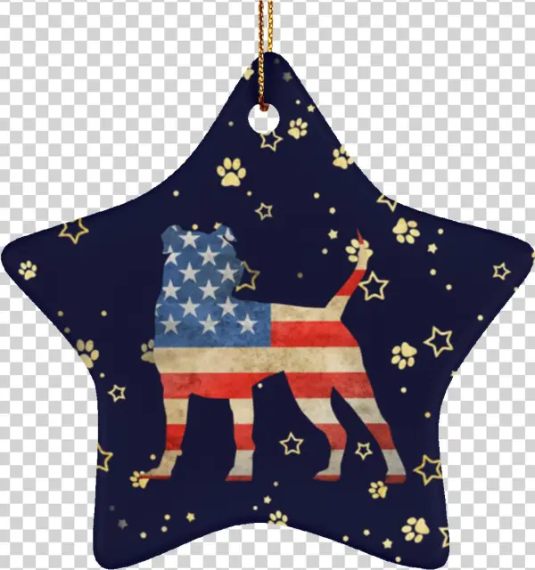 Usa Ceramic Star Ornament