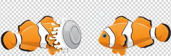Click And Drag To Re-position The Image, If Desired - Cartoon