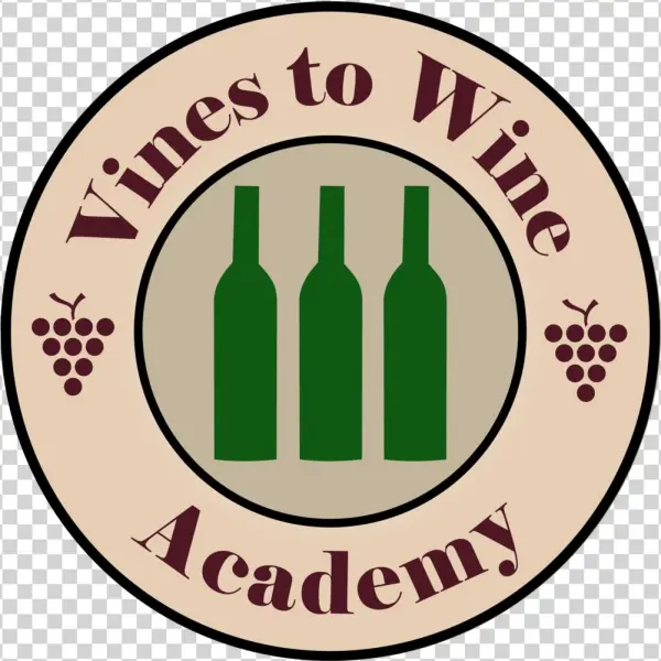 Green Vines Png