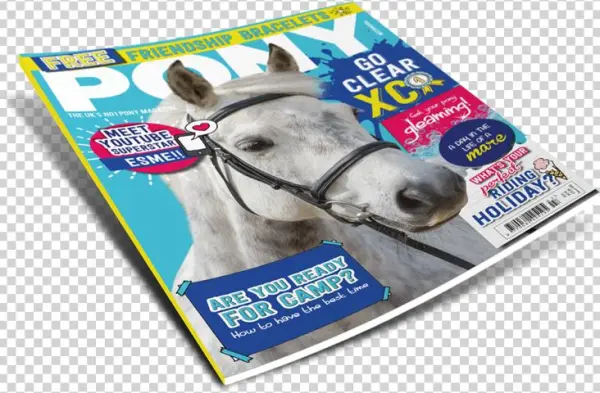 Magazine Png Free Photo - Stallion