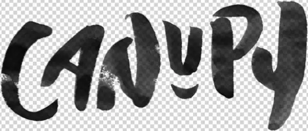 Portfolio Png