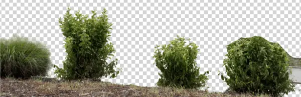 Skip To Content - Larch