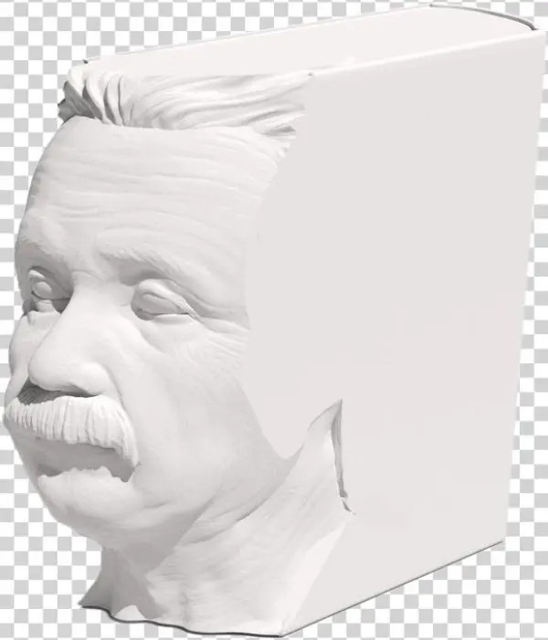 Albert Einstein - Carving