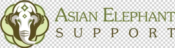 Asian Png