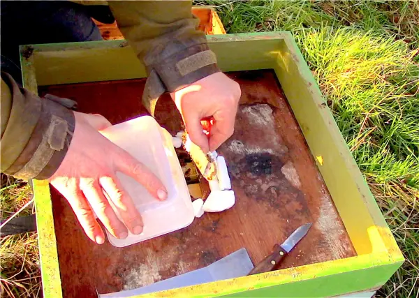 #beehiveyourself #wantagehoney - Beekeeping