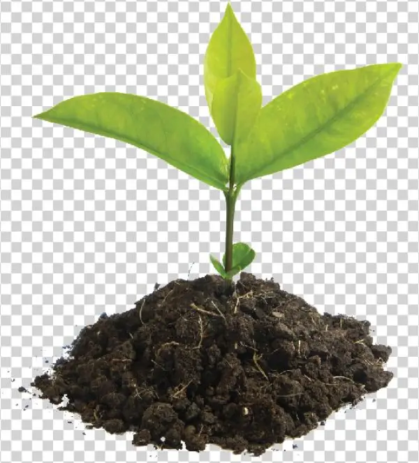Find Out More - Iniciacion A La Actividad Emprendedora Y Empresarial