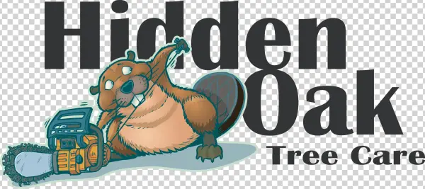 Logo Header Menu - Cartoon
