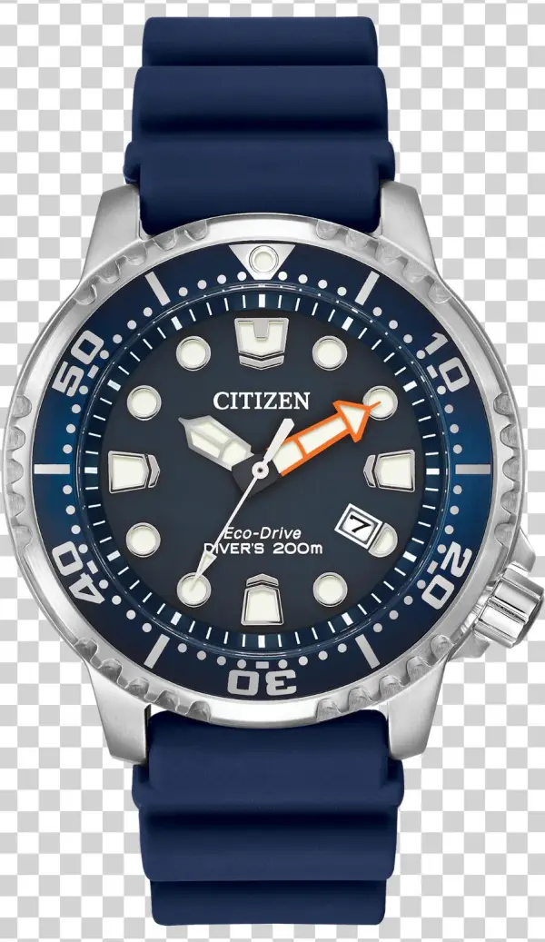 Promaster Diver