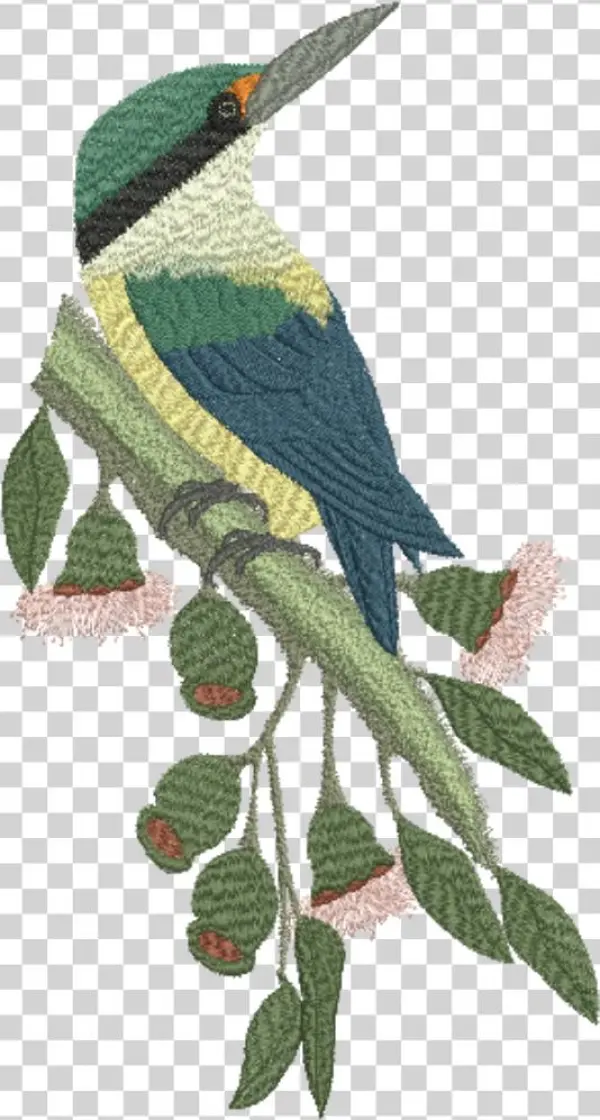 Sacred Kingfisher - Png