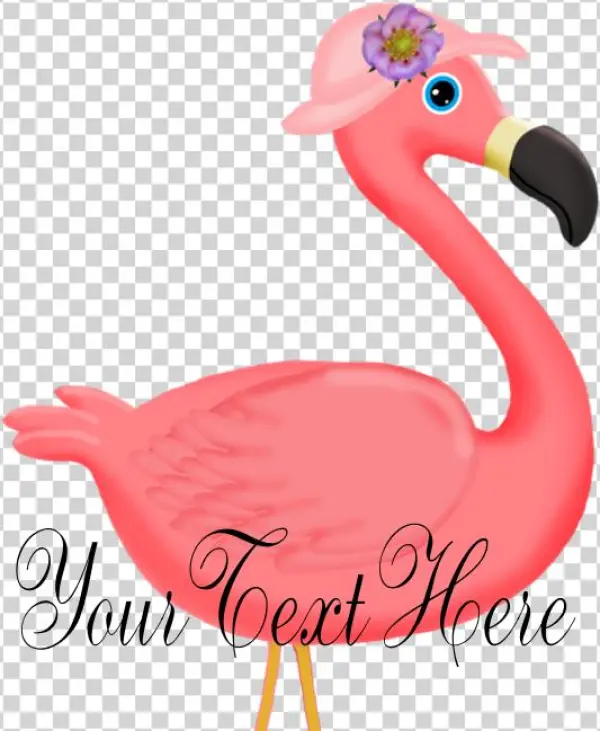 Favorite - Flamingo