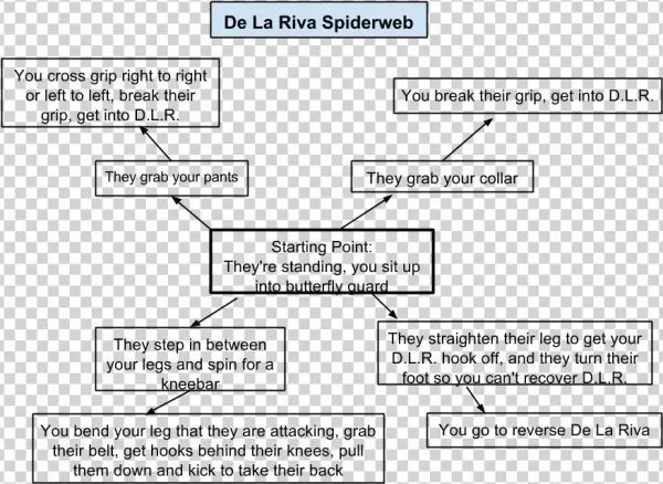Here's Part Of The Spider Web That We Worked On Today - Diagram