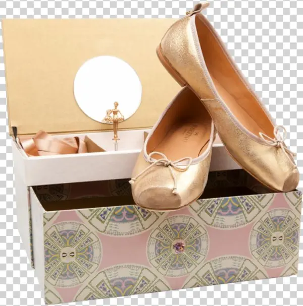 Join Josefinas' Newsletter - Ballet Flat