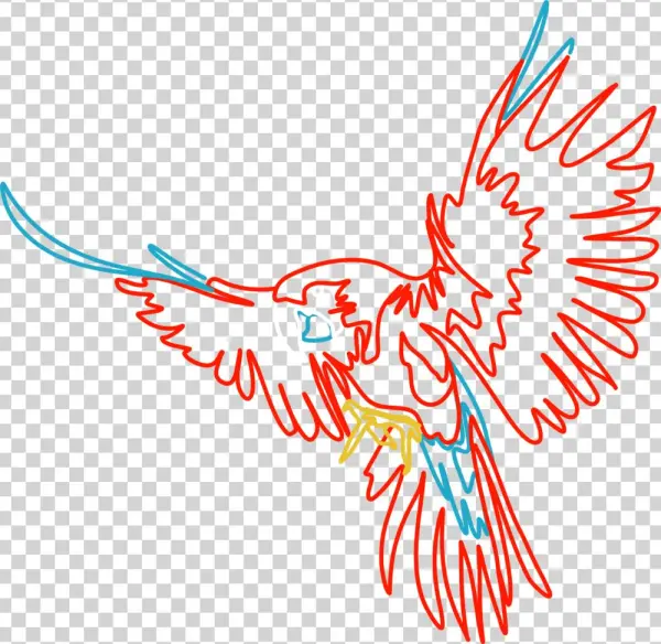 Parrot - Illustration