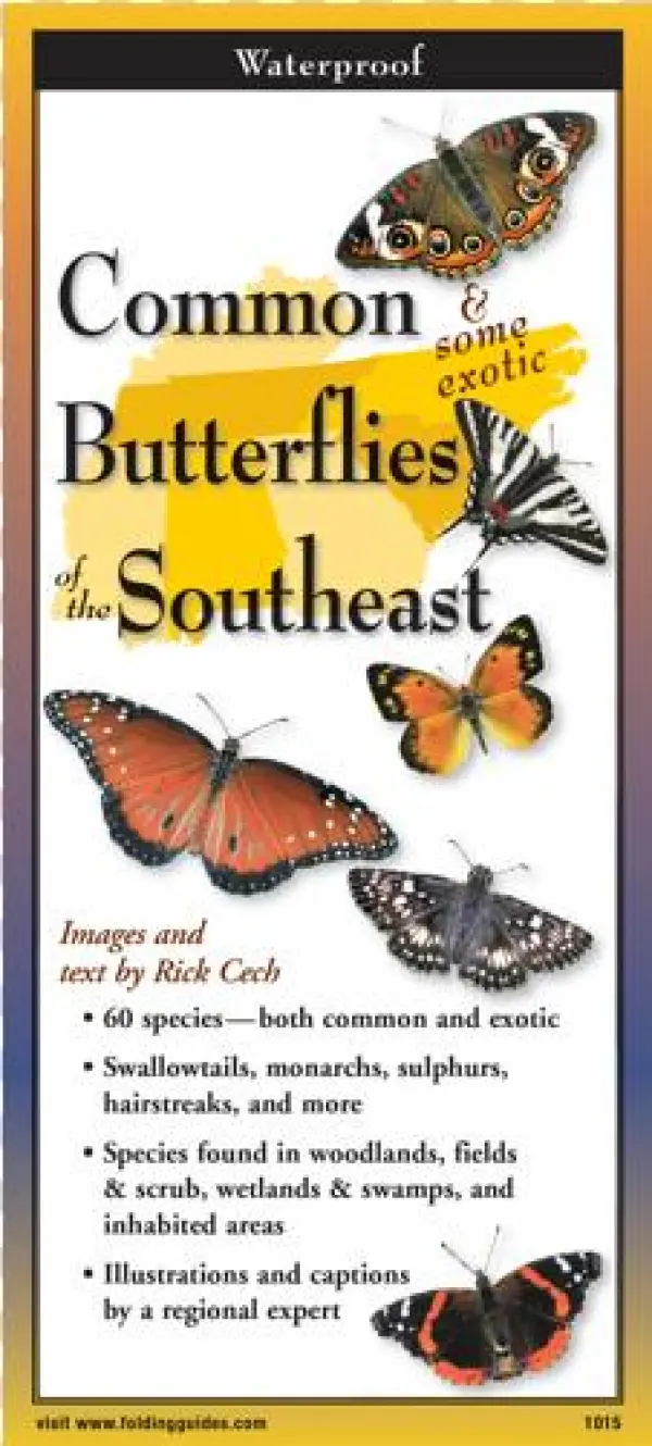 Common Butterflies Of The Southeast Folding Guide