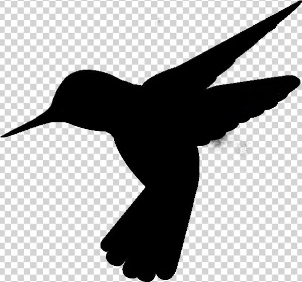 Hummingbirdlogo2 - Coraciiformes