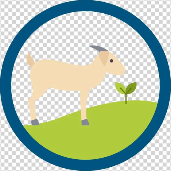 Tapestry Expeditionary Learning Icon