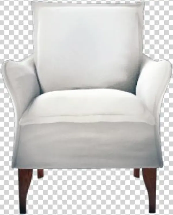 Transparrent Wren Chair