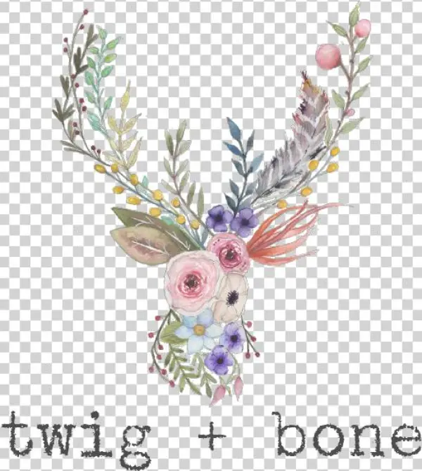 Twig Png