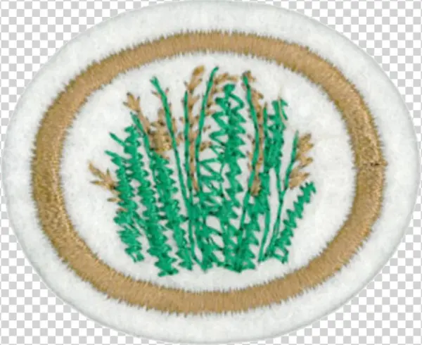 Grasses Honor - Thumbnail