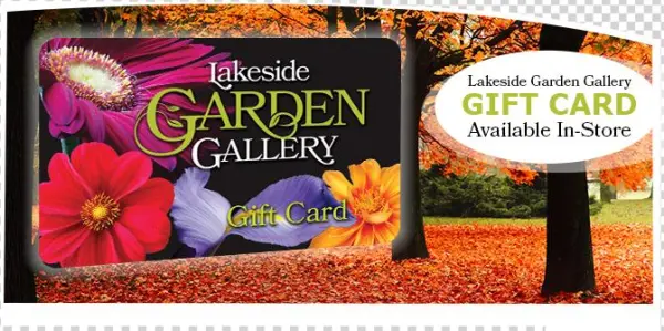 Lakeside Garden Gallery Logo - Leinwandbild Rot Gefärbte Baumallee Im Herbst Pixxprint