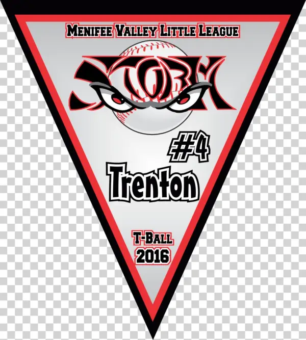 Mvll T-ball Storm 2016 Triangle Pennant Sample
