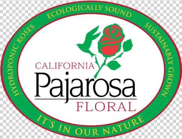 Pajarosa