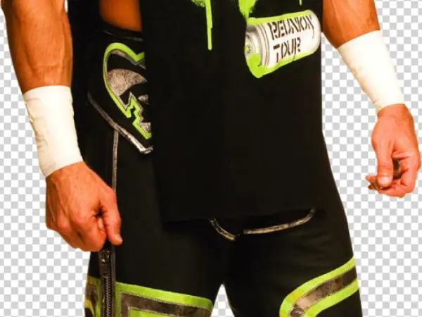 Poster Revolution Shawn Michaels Cardboard Cutouts