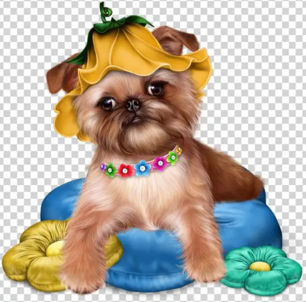 Превью Brussels Griffon Puppy20 Resultaat - Transparent Jaguarwomans Free Png