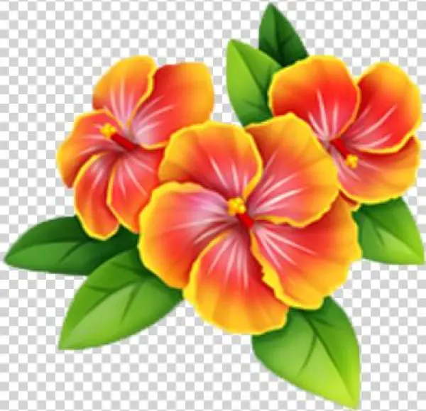 Riviera Flowers - Wiki