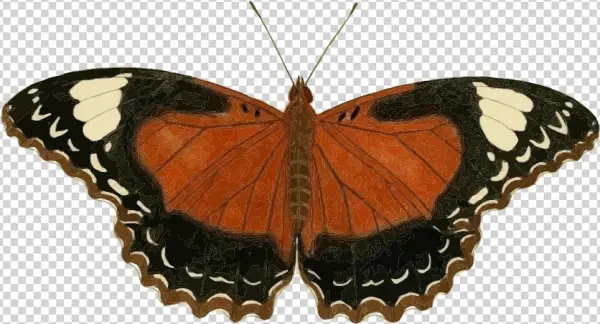 Small - Icanvas 'plate 62' By Cramer And Stoll Graphic Art