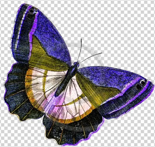 Yellow Butterfly Png