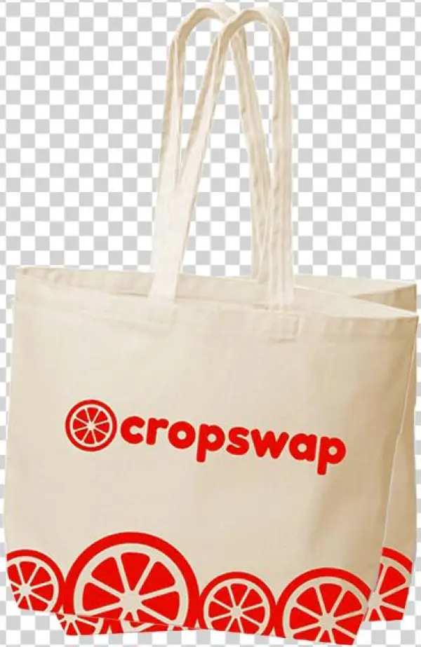 $20 - - Bag
