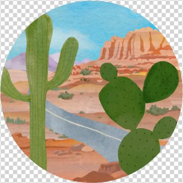Arizona - Act