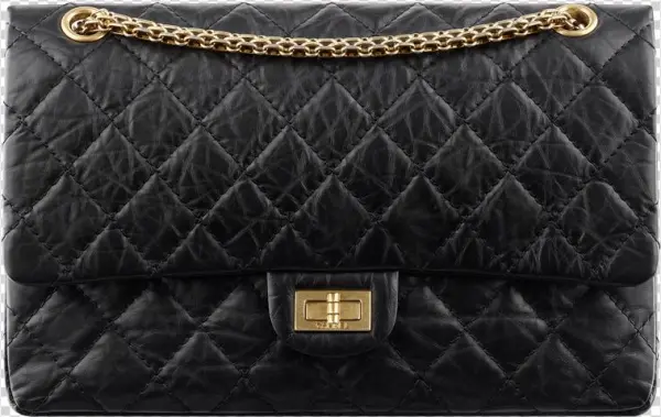 Bag: The Ultimate Fashion Accessory [book]