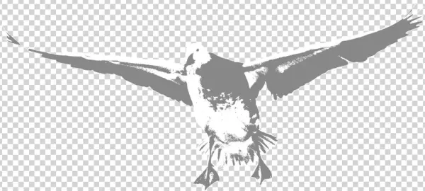 Blue-goose - Portable Network Graphics