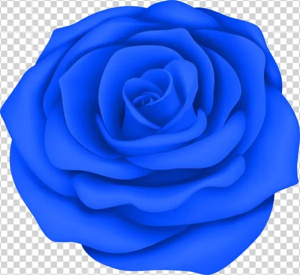 Blue Rose Png