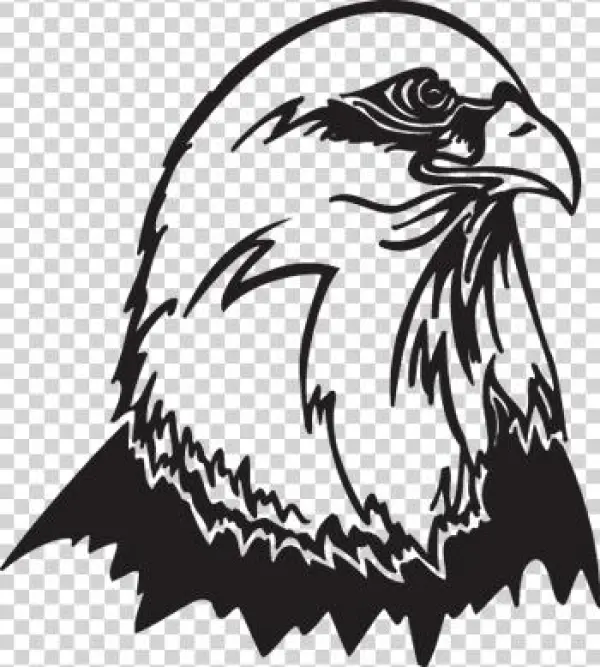 Custom Personalized Eagle 14 Oz Silver Stainless Steel