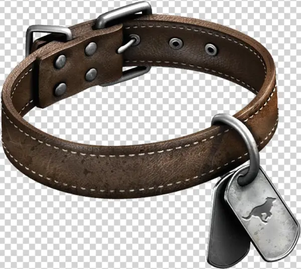 Dogtags-largepic - Strap