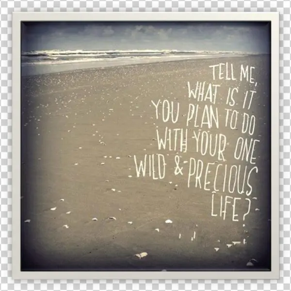 Life Plan Beach - Tell Me, What Is It You Plan To Do With Your One Wild